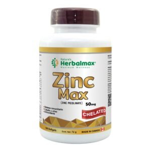 ZINC MAX 720mg ENVASE X100